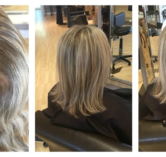Ladies Cut / Partial Highlights