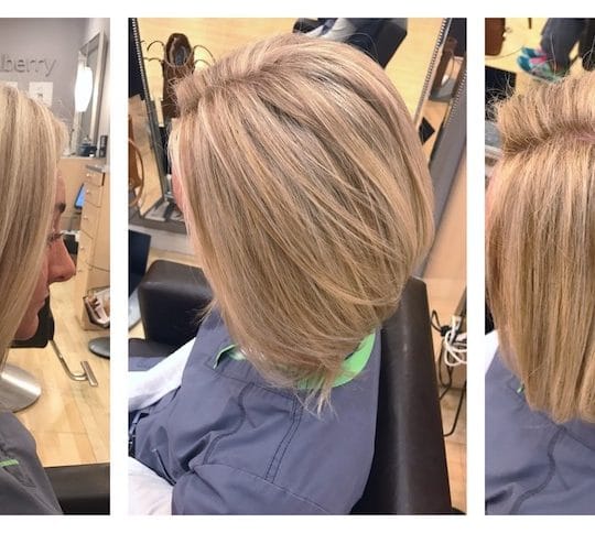 Full Highlight / Toner / Cut / Style