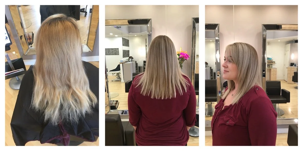 Color Melt / Cut / Style