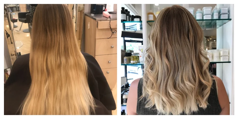 Highlight / Lowlight / Cut / Style