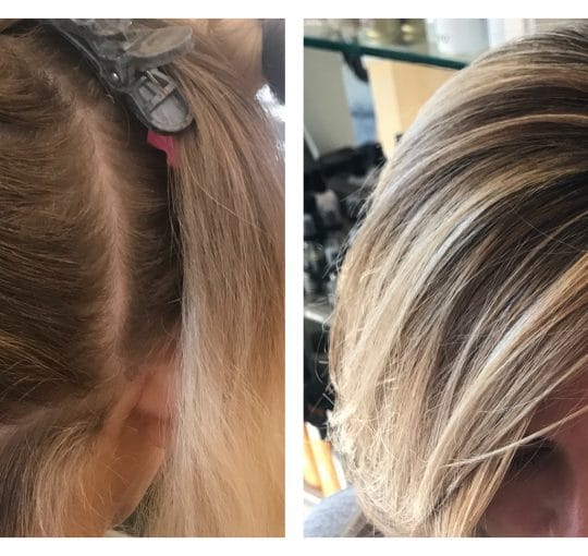 Balayage / Highlight / Lowlight / Cut / Style