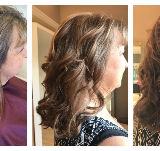 Full Color / Cut / Style