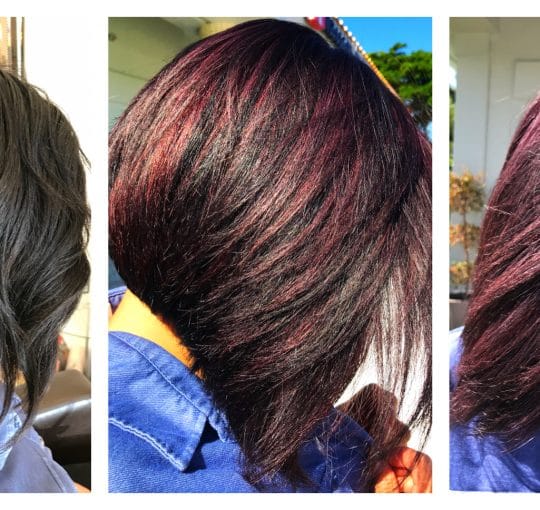 Balayage / Toner / Style