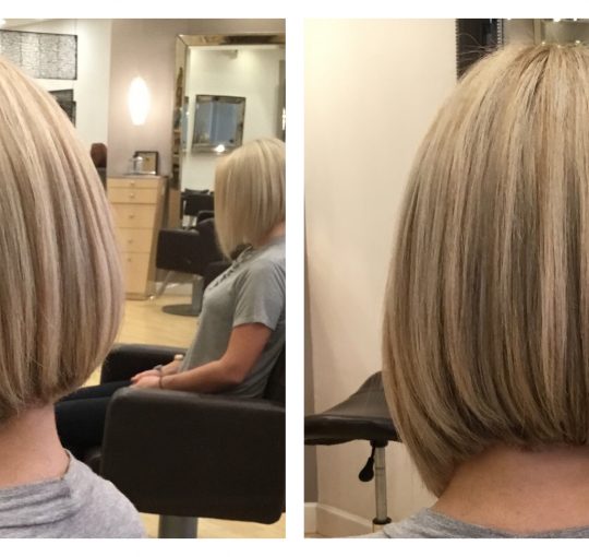 Full Highlights / Ladies Cut / Blowdry
