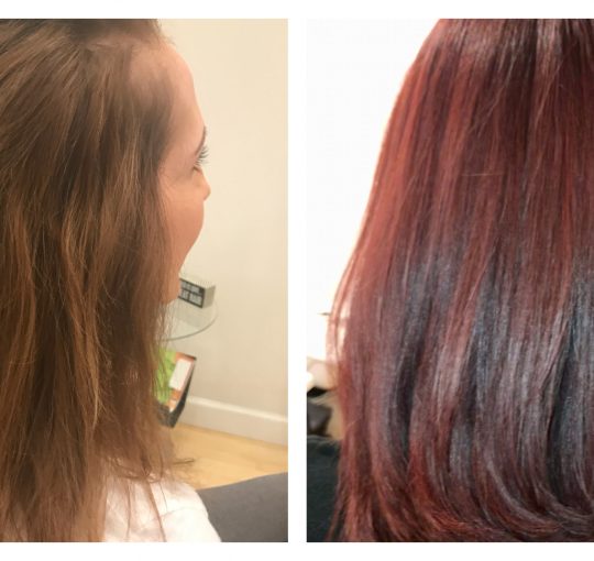 All-Over Color / Cut