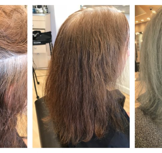 Color Transition to Gray / Cut