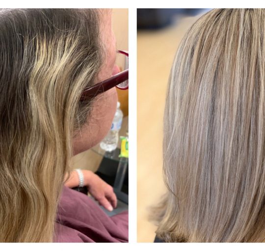 Full Highlight / Lowlight / Toner / Cut / Blowdry