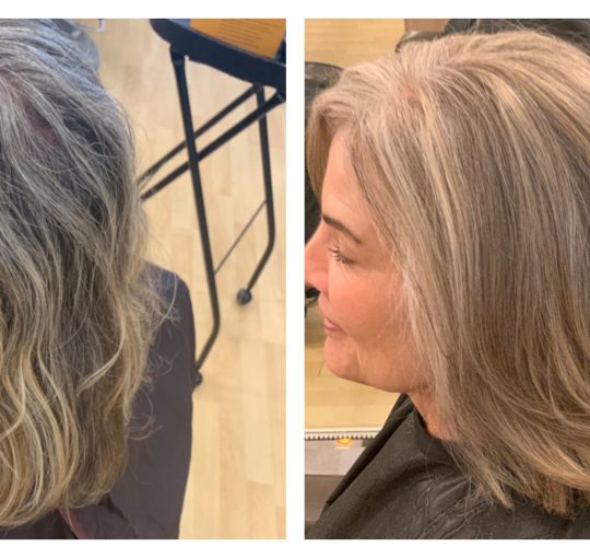 Full Highlight / Toner / Cut / Style