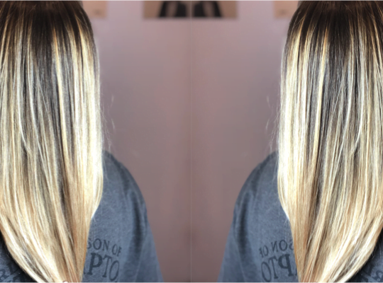 Partial Head Balayage / Toner / Blowdry