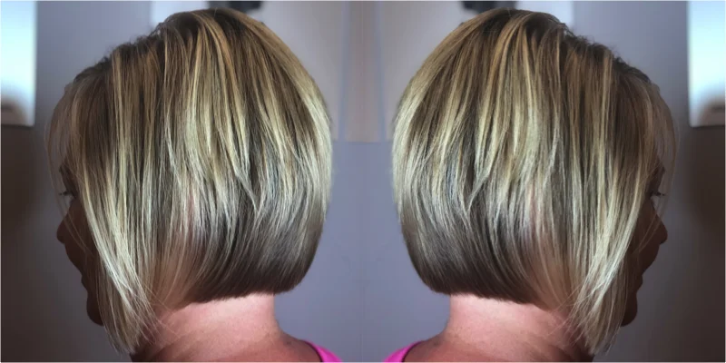 Half Head Highlight / Cut / Blowdry