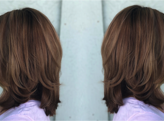 Subtle Balayage / Cut / Blowdry